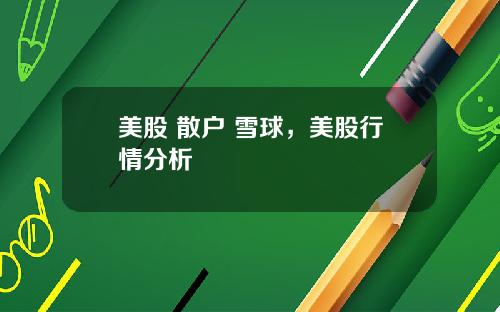 美股 散户 雪球,美股行情分析