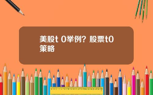 美股t 0举例?股票t0策略