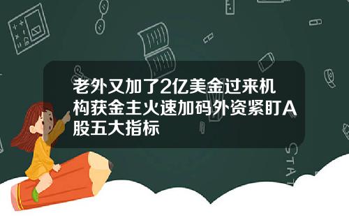 老外又加了2亿美金过来机构获金主火速加码外资紧盯A股五大指标