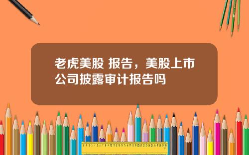 老虎美股 报告,美股上市公司披露审计报告吗