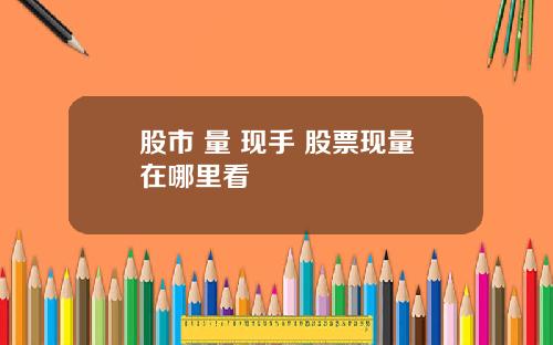 股市 量 现手 股票现量在哪里看
