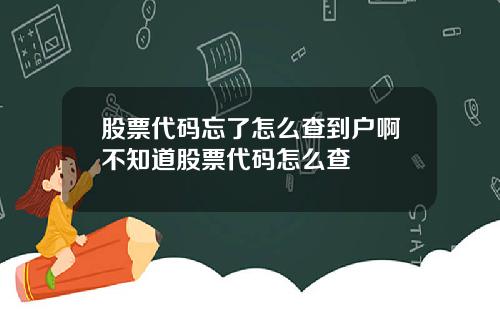 股票代码忘了怎么查到户啊不知道股票代码怎么查