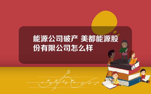 能源公司破产 美都能源股份有限公司怎么样