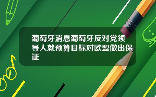 葡萄牙消息葡萄牙反对党领导人就预算目标对欧盟做出保证