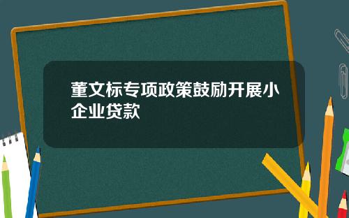 董文标专项政策鼓励开展小企业贷款