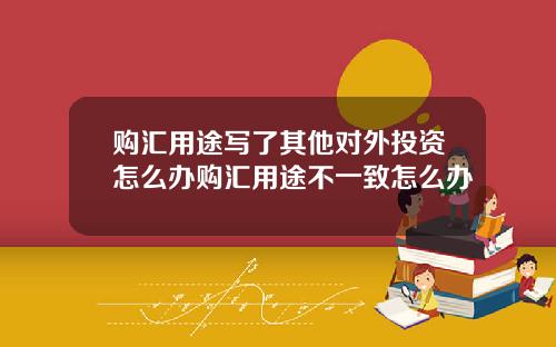 购汇用途写了其他对外投资怎么办购汇用途不一致怎么办