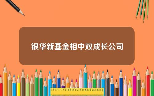银华新基金相中双成长公司