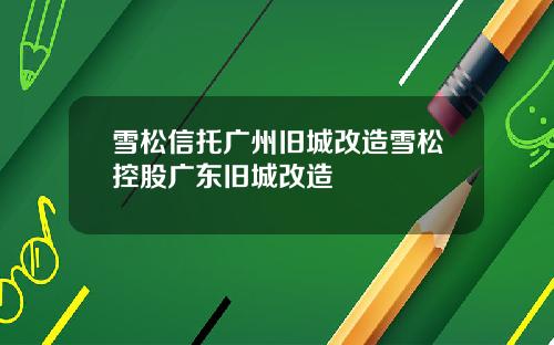 雪松信托广州旧城改造雪松控股广东旧城改造