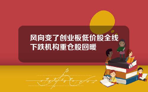 风向变了创业板低价股全线下跌机构重仓股回暖