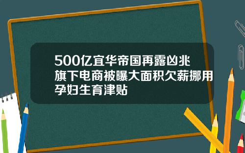 500亿宜华帝国再露凶兆旗下电商被曝大面积欠薪挪用孕妇生育津贴