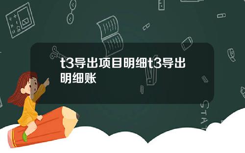 t3导出项目明细t3导出明细账
