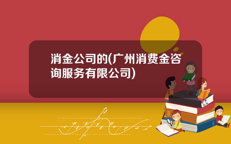 消金公司的(广州消费金咨询服务有限公司)