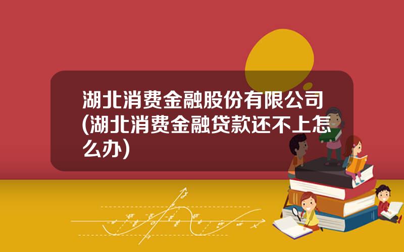 湖北消费金融股份有限公司(湖北消费金融贷款还不上怎么办)