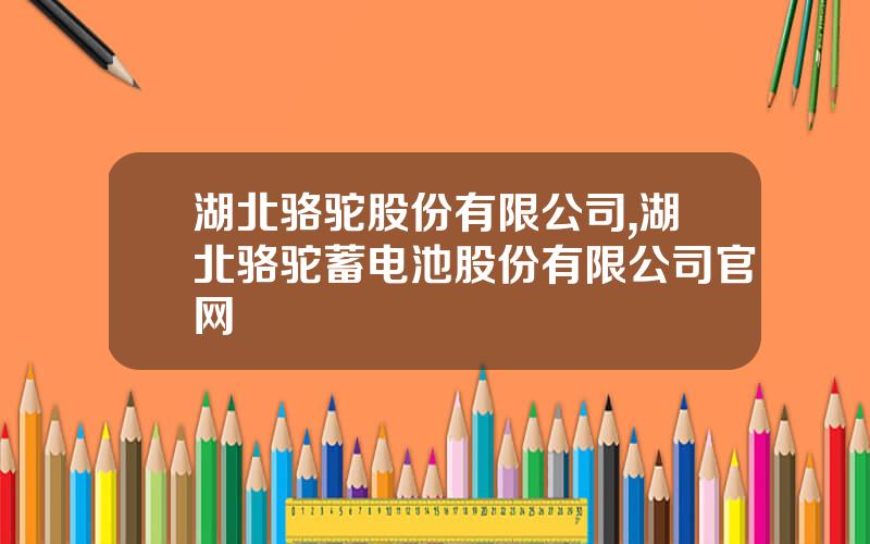湖北骆驼股份有限公司,湖北骆驼蓄电池股份有限公司官网