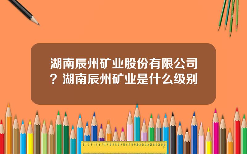 湖南辰州矿业股份有限公司？湖南辰州矿业是什么级别