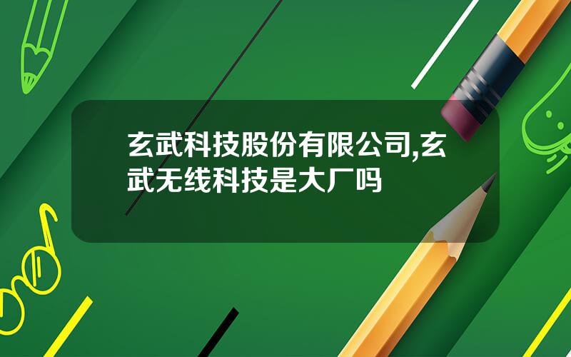 玄武科技股份有限公司,玄武无线科技是大厂吗
