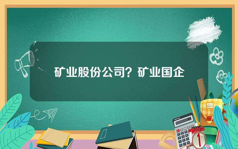 矿业股份公司？矿业国企
