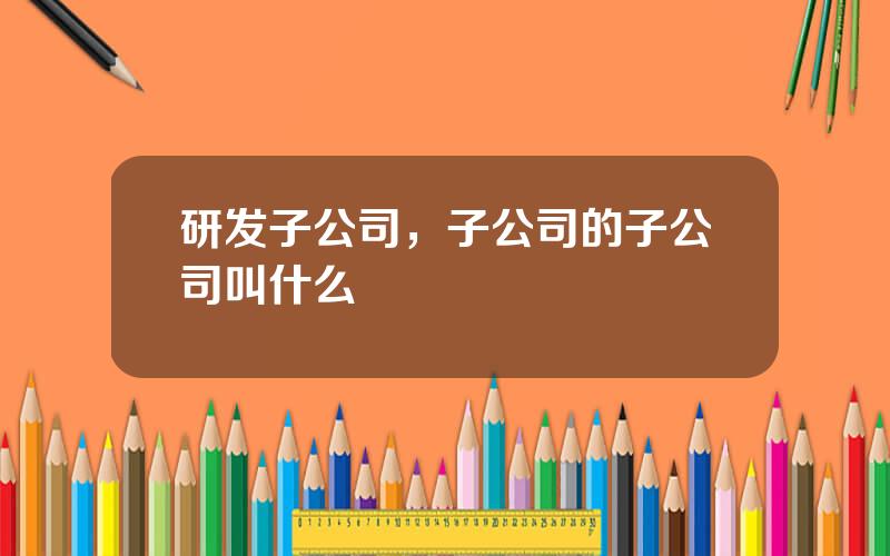 研发子公司，子公司的子公司叫什么
