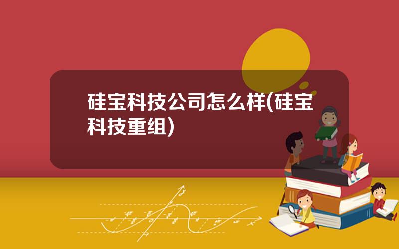 硅宝科技公司怎么样(硅宝科技重组)