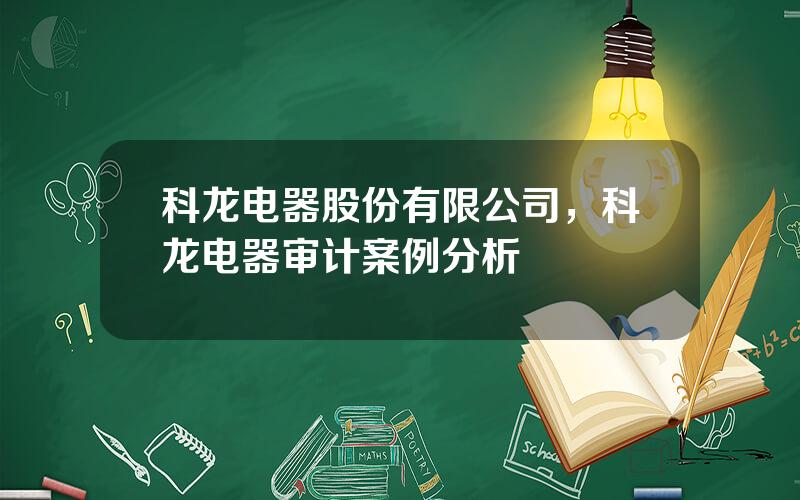 科龙电器股份有限公司，科龙电器审计案例分析