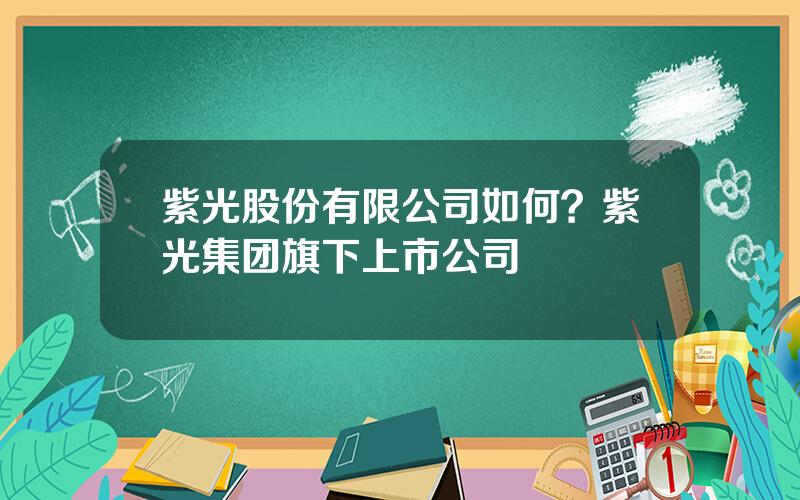 紫光股份有限公司如何？紫光集团旗下上市公司