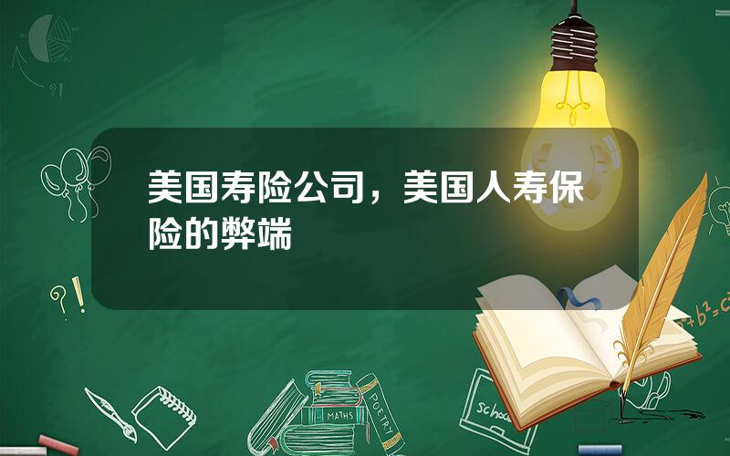 美国寿险公司，美国人寿保险的弊端