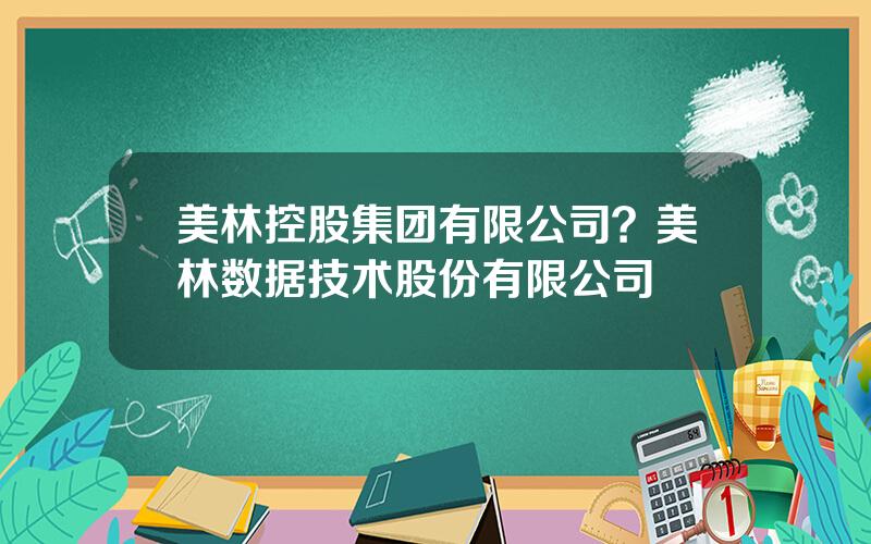 美林控股集团有限公司？美林数据技术股份有限公司