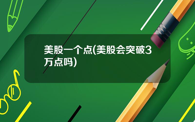 美股一个点(美股会突破3万点吗)
