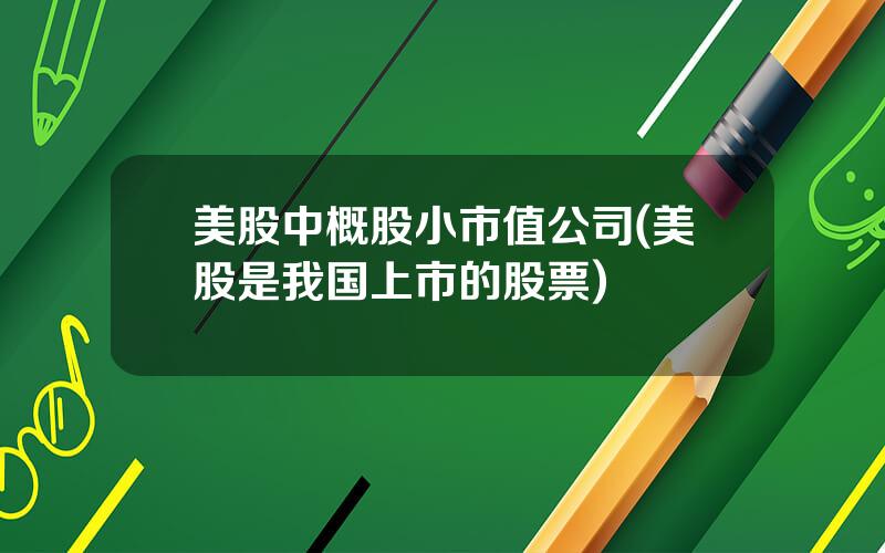 美股中概股小市值公司(美股是我国上市的股票)