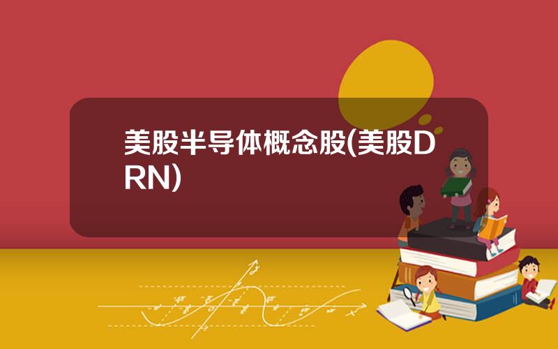 美股半导体概念股(美股DRN)