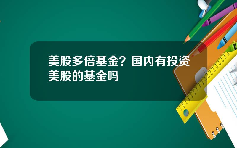 美股多倍基金？国内有投资美股的基金吗