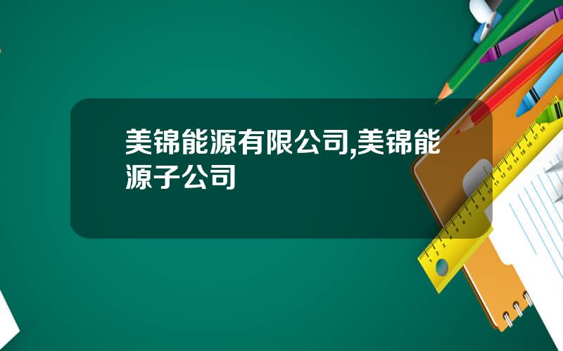 美锦能源有限公司,美锦能源子公司