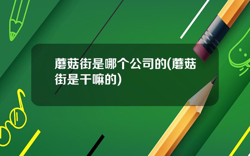 蘑菇街是哪个公司的(蘑菇街是干嘛的)