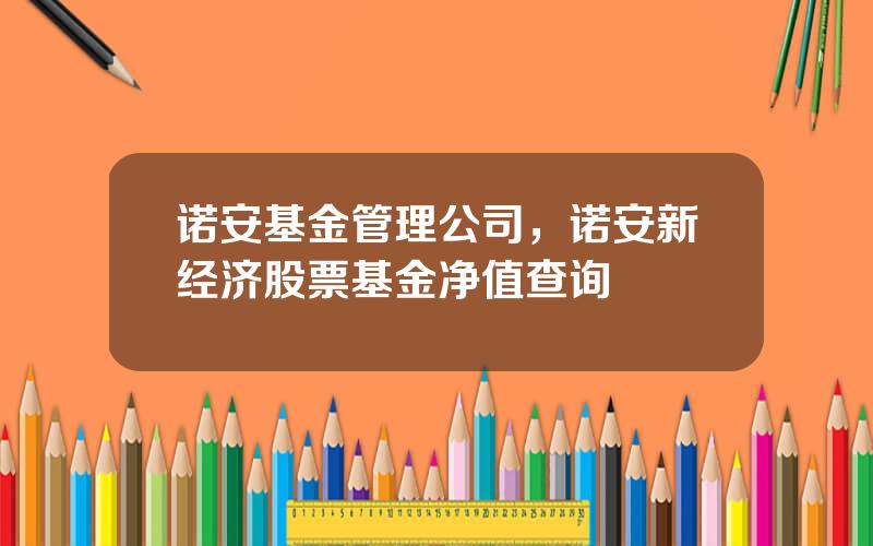 诺安基金管理公司，诺安新经济股票基金净值查询