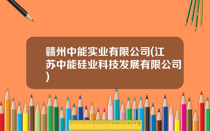 赣州中能实业有限公司(江苏中能硅业科技发展有限公司)